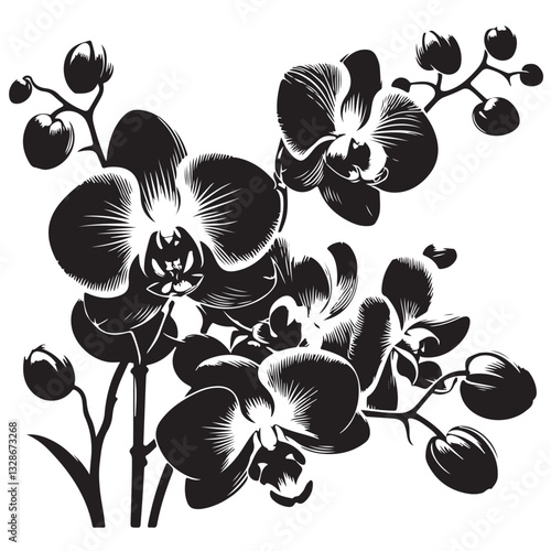 Vector Black Silhouette Orchid Flowers illustration,orchid pattern,simple modern botanical design in white background 27