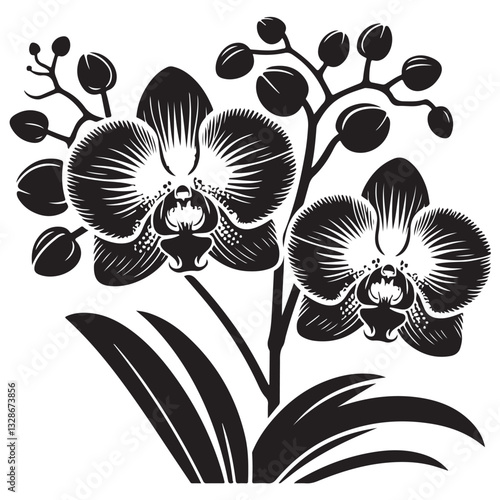 Vector Black Silhouette Orchid Flowers illustration,orchid pattern,simple modern botanical design in white background 31