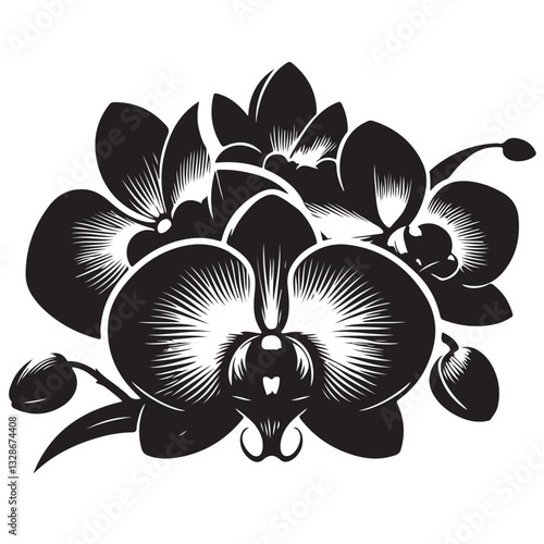 Vector Black Silhouette Orchid Flowers illustration,orchid pattern,simple modern botanical design in white background 36