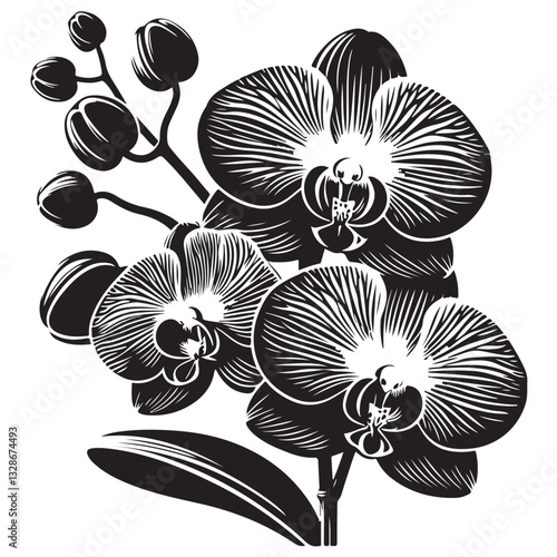 Vector Black Silhouette Orchid Flowers illustration,orchid pattern,simple modern botanical design in white background 37