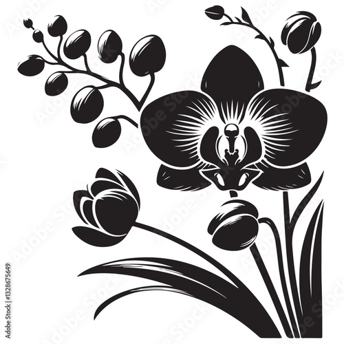 Vector Black Silhouette Orchid Flowers illustration,orchid pattern,simple modern botanical design in white background 47