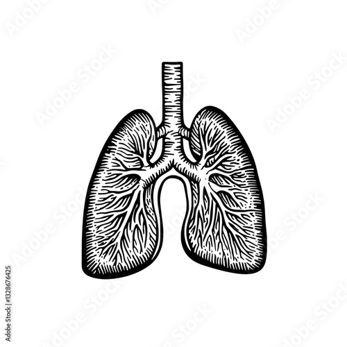Engraved illustration of lung anatomy suitable for tattoo art and packaging designs