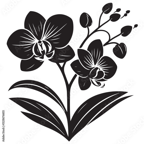 Vector Black Silhouette Orchid Flowers illustration,orchid pattern,simple modern botanical design in white background 54