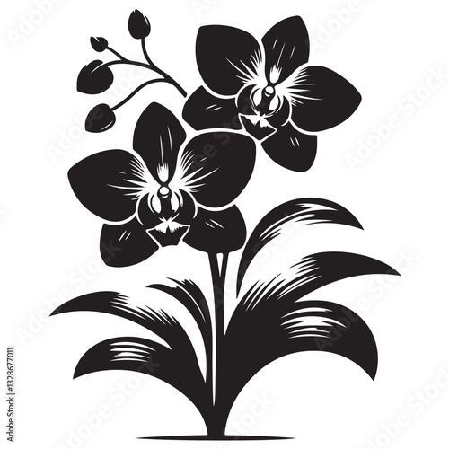 Vector Black Silhouette Orchid Flowers illustration,orchid pattern,simple modern botanical design in white background 58