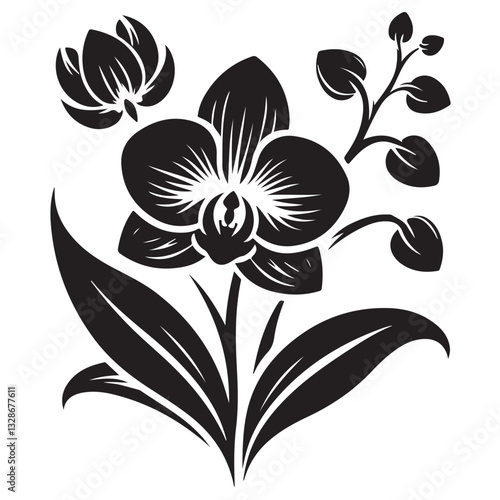 Vector Black Silhouette Orchid Flowers illustration,orchid pattern,simple modern botanical design in white background 61