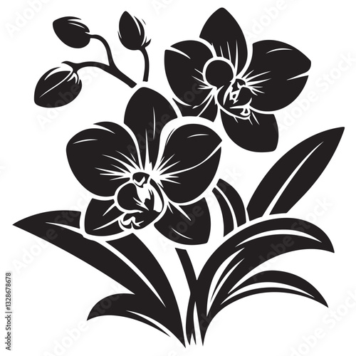 Vector Black Silhouette Orchid Flowers illustration,orchid pattern,simple modern botanical design in white background 68