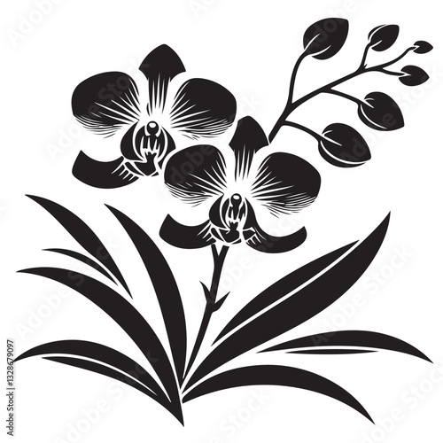 Vector Black Silhouette Orchid Flowers illustration,orchid pattern,simple modern botanical design in white background 1