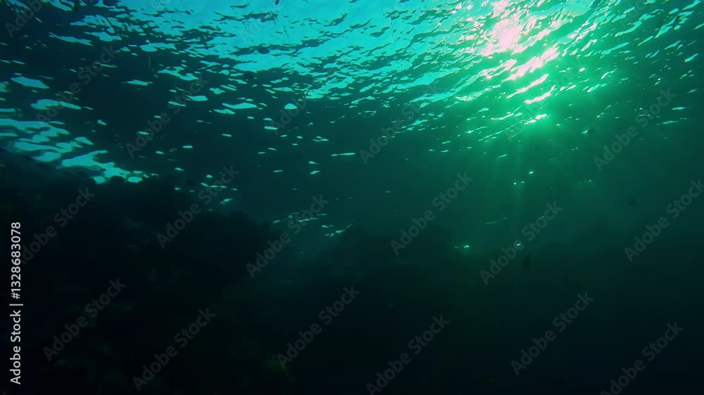 Morning light breaking through surface of water over coral reef in backlit at dawn, Slow motion, Panorama of coral reef at dawn in contre-jour, Bottom view of marine life on coral reef at sunrise Morning light breaking through surface of water over coral reef in backlit at dawn, Slow motion, Panorama of coral reef at dawn in contre-jour, Bottom view of marine life on coral reef at sunrise