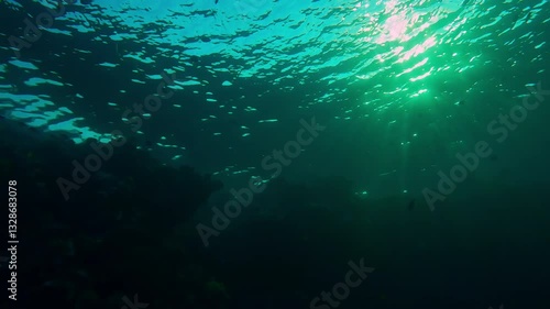 Wallpaper Mural Morning light breaking through surface of water over coral reef in backlit at dawn, Slow motion, Panorama of coral reef at dawn in contre-jour, Bottom view of marine life on coral reef at sunrise Torontodigital.ca