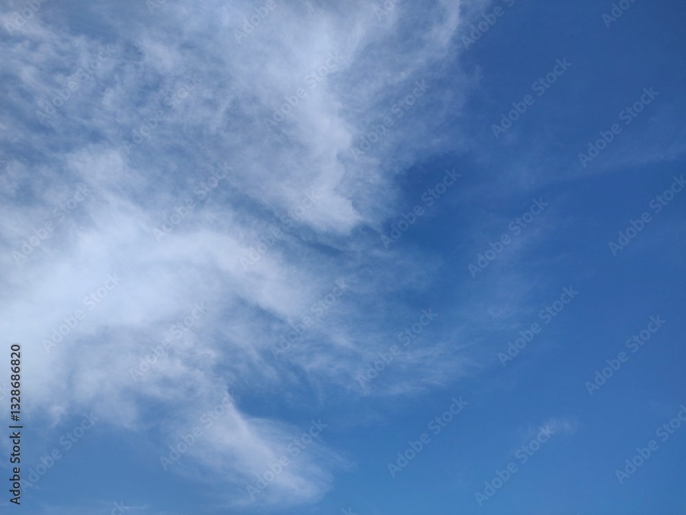 Fototapeta premium 東京のそら(25.3.13)