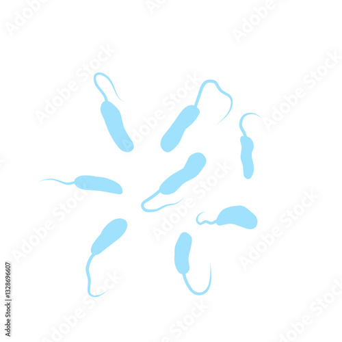 Vibrio Cholerae Bacteria 