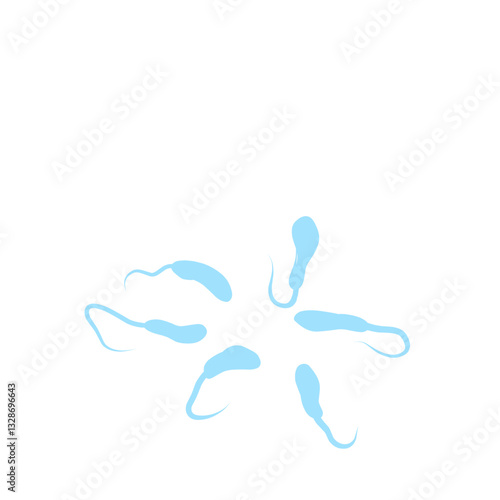 Vibrio Cholerae Bacteria 