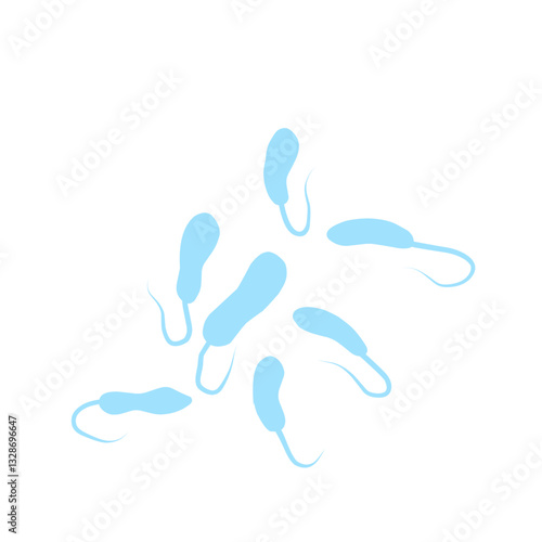 Vibrio Cholerae Bacteria 