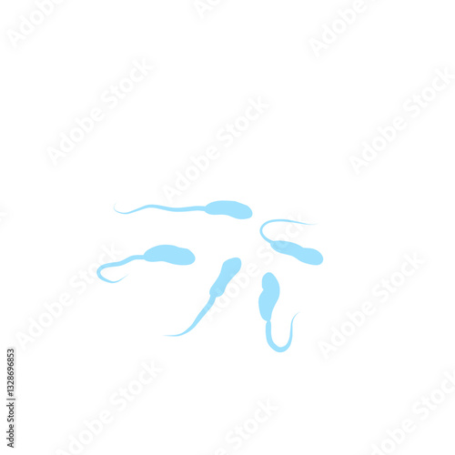 Vibrio Cholerae Bacteria 