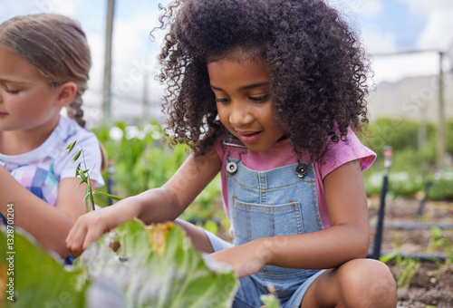 Картината върху платно Children, field trip and learning with school girl on farm for agricultural sustainability in countryside