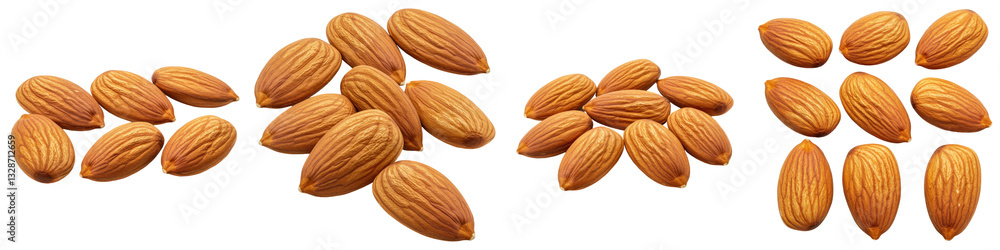 Row of Almonds, Cut Out Set Row of Almonds, Cut Out Set