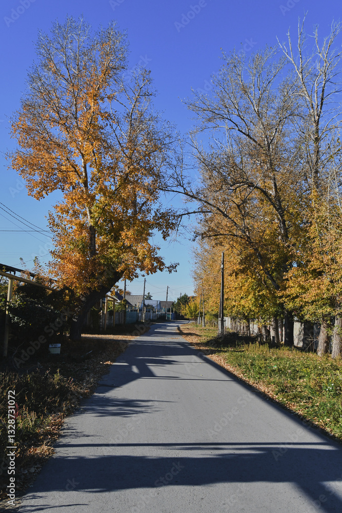 Obraz premium Autumn landscape of a small town. Village houses and roads covered with orange foliage