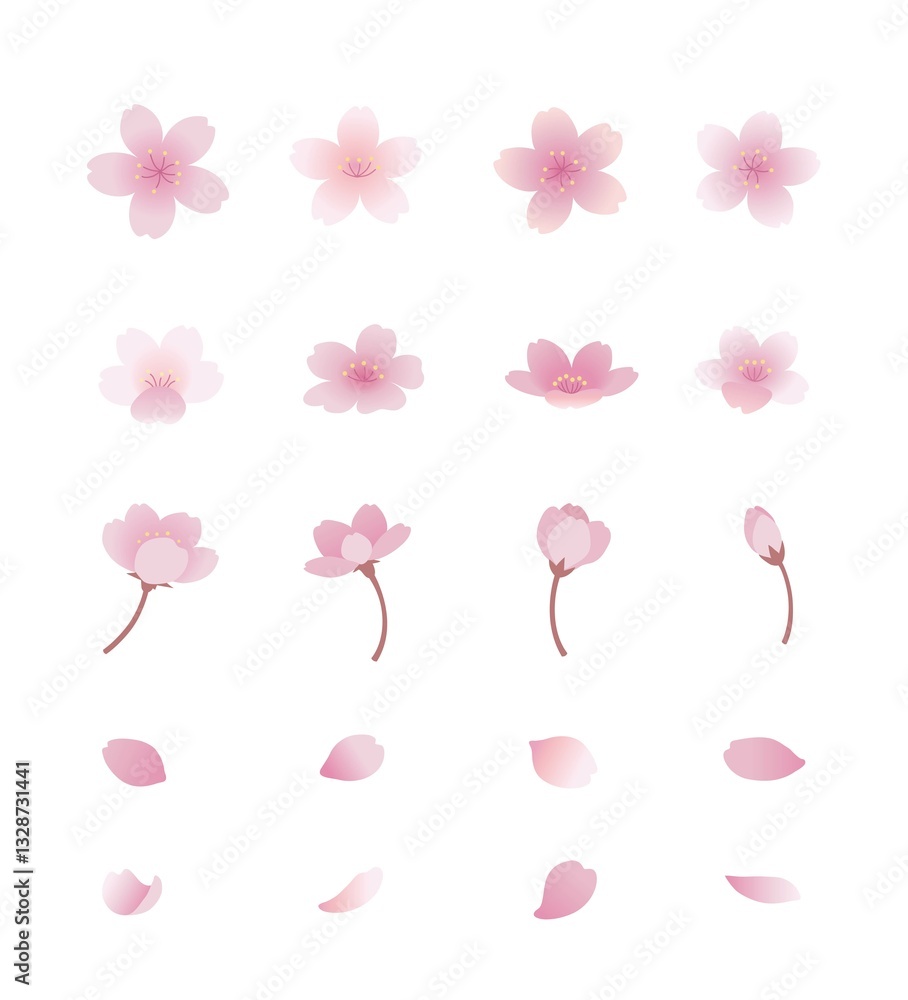 Obraz premium Cherry Blossom Flat Illustration Set Vector