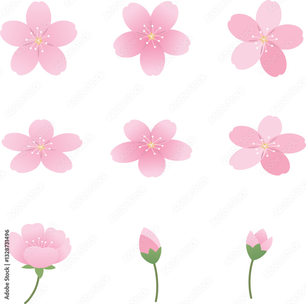 Cherry Blossom Flat Illustration Set Vector Cherry Blossom Flat Illustration Set Vector