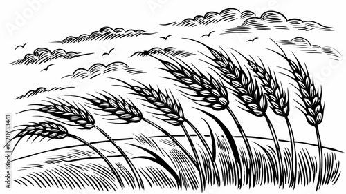 Vintage Black and White Wheat Field Illustration with Wind Swept Clouds