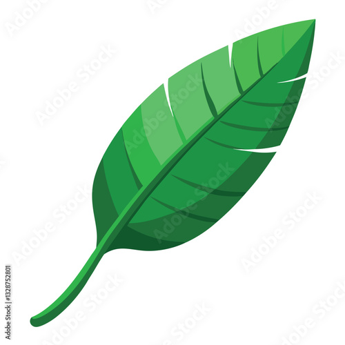 Green banana leaf-isolated.