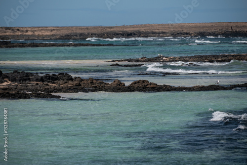Obraz na płótnie Playa los Charcos en la costa norte de Fuerteventura. w salonie