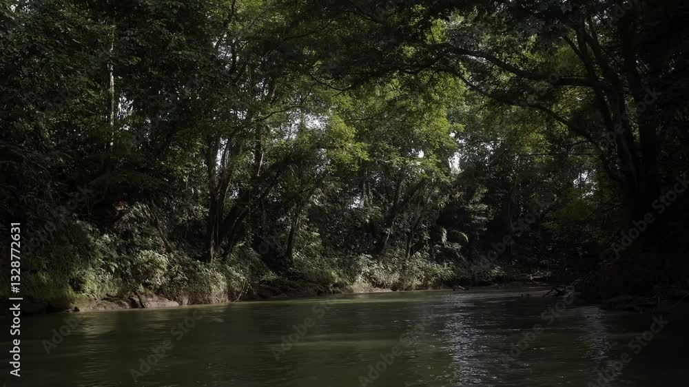 Wide shot of the tropical Peñas Blancas River near La Fortuna, Costa Rica. Floating on a raft, slowly winding through a rainforest canopy with moss-covered trees, vines, and plants on a sunny day. Wide shot of the tropical Peñas Blancas River near La Fortuna, Costa Rica. Floating on a raft, slowly winding through a rainforest canopy with moss-covered trees, vines, and plants on a sunny day.