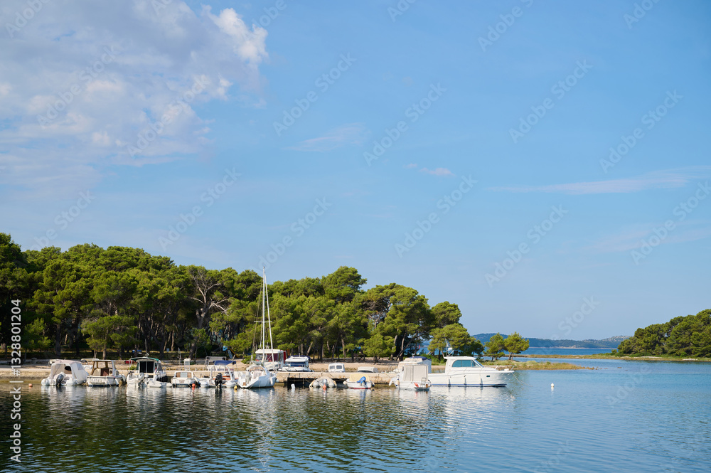 Fototapeta premium Several fishing boats are anchored in a calm harbor with trees lining the shore under a bright blue sky.