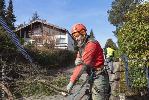 Tree Removal. Portrait of a Professional Arborist at Work in suburb. Safety when working at height. photo