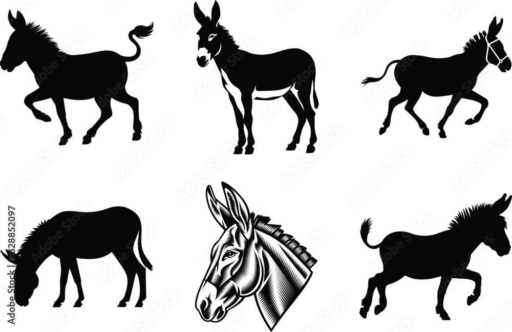 Fototapeta premium Donkey black silhouette clipart SVG bundle design isolated on a white background, Donkey vector illustration, Donkey vector icon set