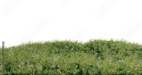 Fototapeta Naklejka Na Ścianę i Meble -  3d rendered mountain meadow hills isolated on black background. Patch of green grass lands with daisy flowers. 3d grassland scene.