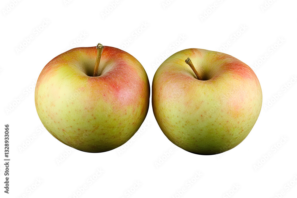 Two ripe apples, a vibrant blend of yellow and red hues, sit side-by-side against a stark white background. PNG, Cutout, or clipping path. Two ripe apples, a vibrant blend of yellow and red hues, sit side-by-side against a stark white background. PNG, Cutout, or clipping path.
