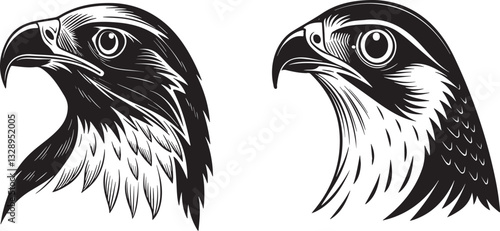 he Hawk Head silhuette vector design with white background.