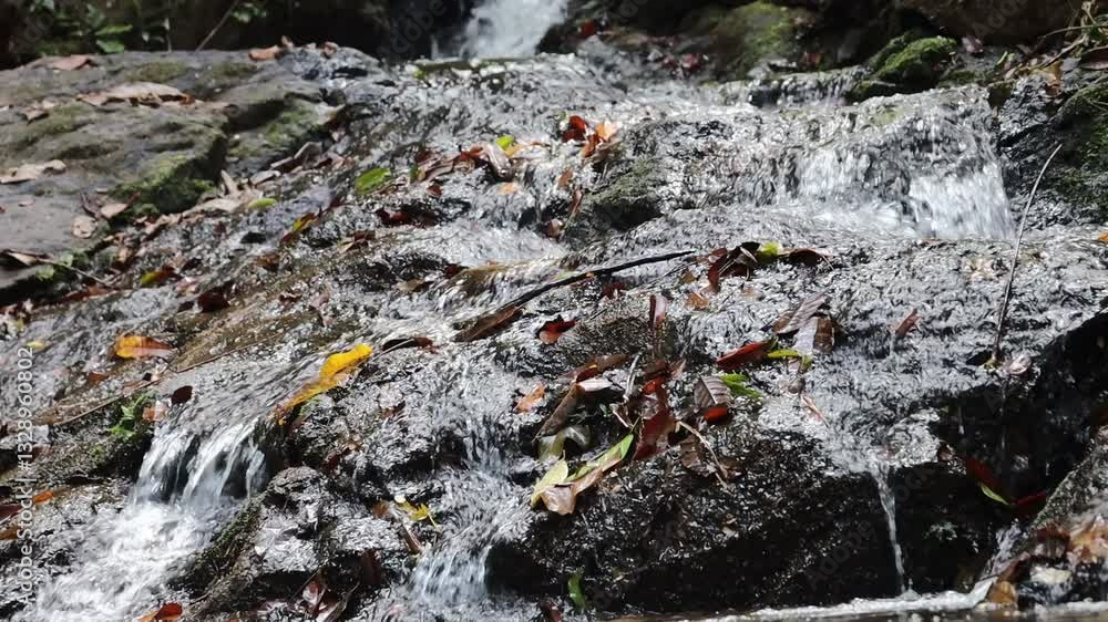 Water flowing in a stream in one of the natural parks of Phuket in Thailand Water flowing in a stream in one of the natural parks of Phuket in Thailand