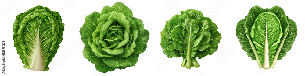 Obraz premium A variety of lush vibrant green leafy vegetables including lettuce cabbage and broccoli showcasing their natural beauty and healthy nutrients