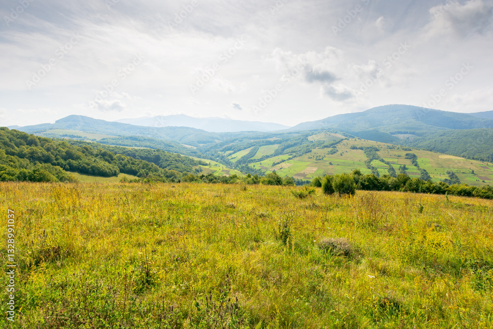 mountain landscape with forest on the hill. alpine valley. grassy countryside pasture of ukraine. warm early autumn weather with cloudy sky. beautiful view