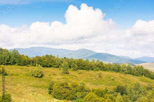 Obraz na płótnie mountain landscape with forest on the hill. natural environment. grassy countryside pasture of ukraine. warm early autumn weather with cloudy sky. sunny day w salonie