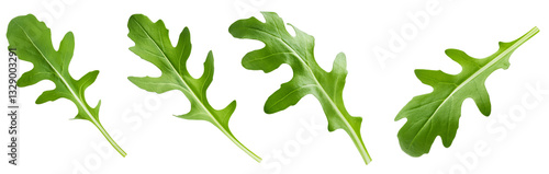 Fresh arugula leaves arranged artistically on a transparent background.