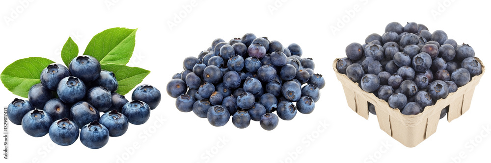 Fresh Blueberries with Leaves, Bulk Berries and Packaged Options Fresh Blueberries with Leaves, Bulk Berries and Packaged Options