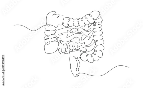 Continuous single line of intestine bowel colon human biology internal organ medical sketch drawing editable stroke vector illustration