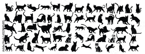 Cat Silhouette Set Collections Cat Shadow Bundle