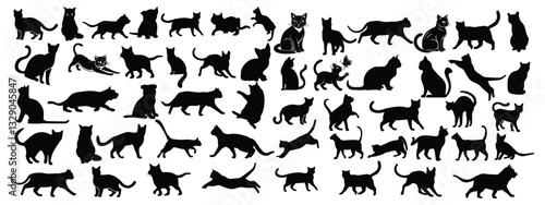 cats set silhouette isolated vector