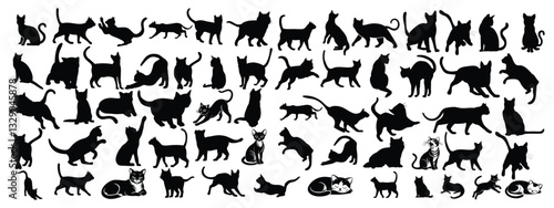 Set of cats silhouette in different poses. Hand drawn black cats  isolated on white background. Vector illustration of Halloween decorative elements for design decor.