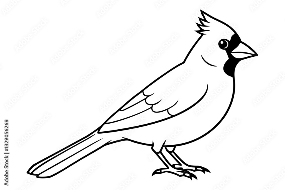 Obraz premium cardinal line art silhouette vector illustration