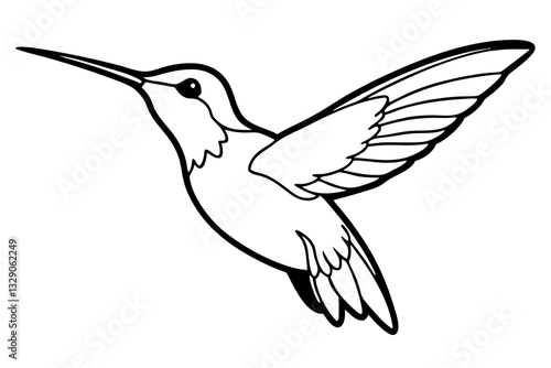 hummingbird line art silhouette vector illustration