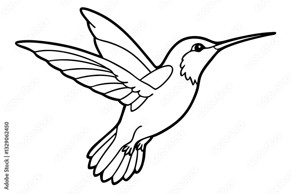 hummingbird line art silhouette vector illustration hummingbird line art silhouette vector illustration