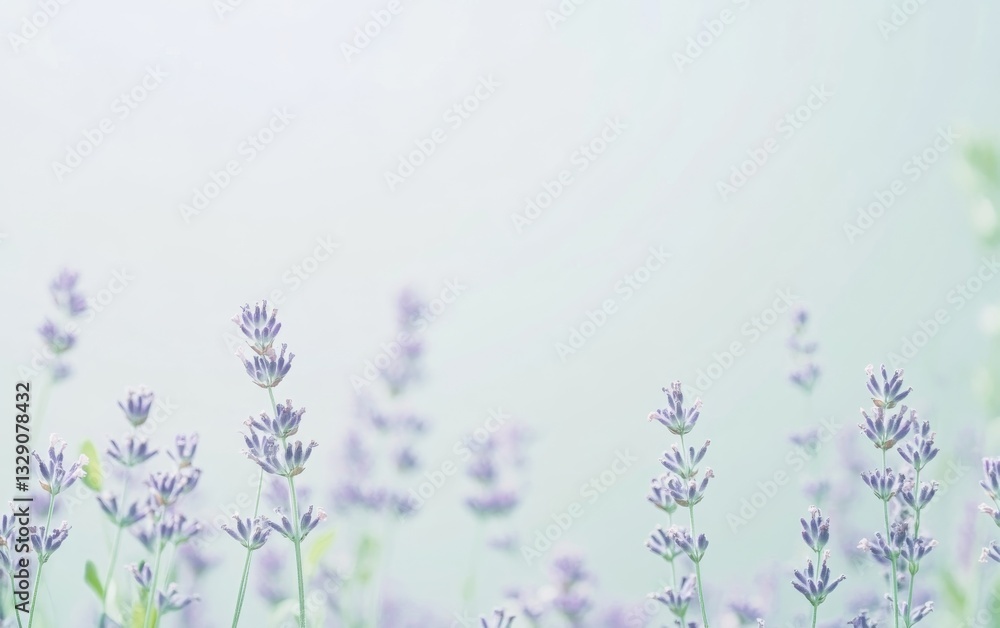 Naklejka premium A soft lavender to pale green gradient background. Featuring light lavender tones, soft green hues, and hints of white. Emphasizing tranquility and renewal. Ideal for nature or wellness visuals