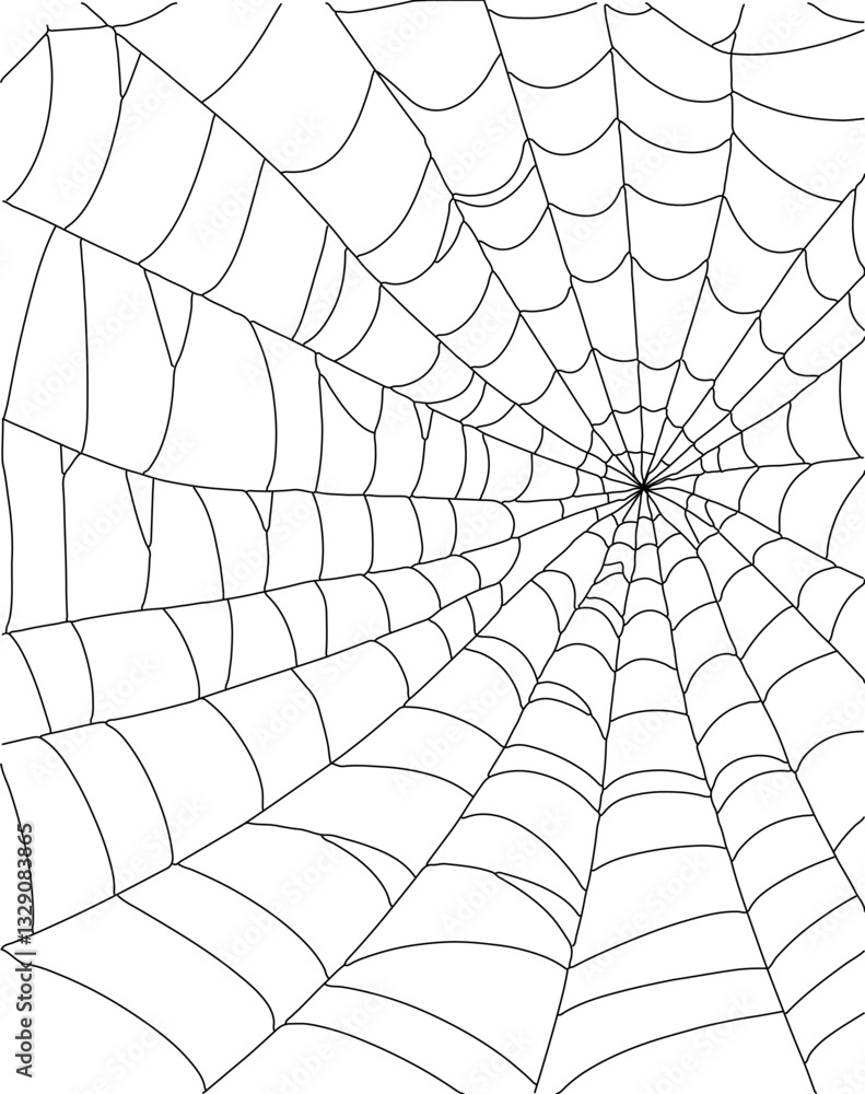 Obraz premium Real spider web vector line art
