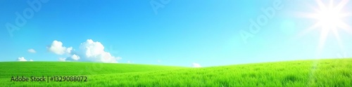 Vibrant green grass lawn under clear blue sky on a sunny day, grass, lush