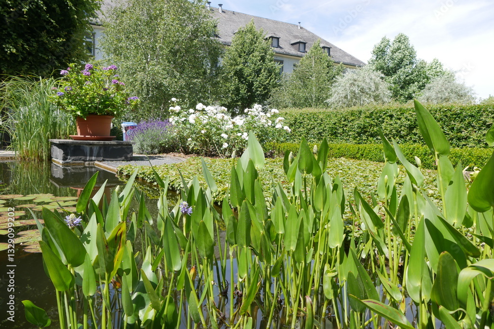 Wasserpflanzen im Sauerlandpark Hemer